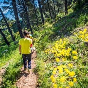 Spanje | Wandelen in Sierra Subbetica